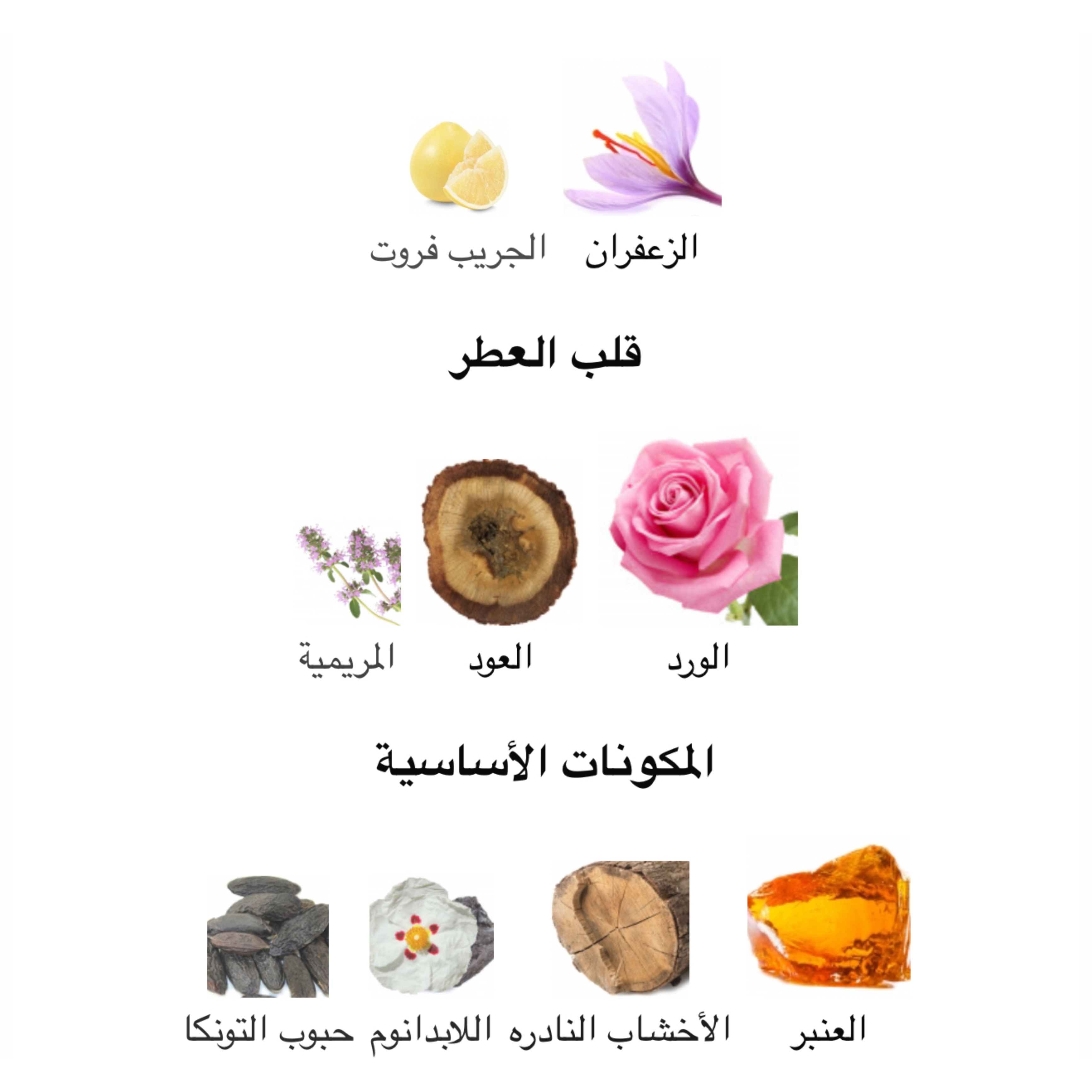 صورة مصغرة