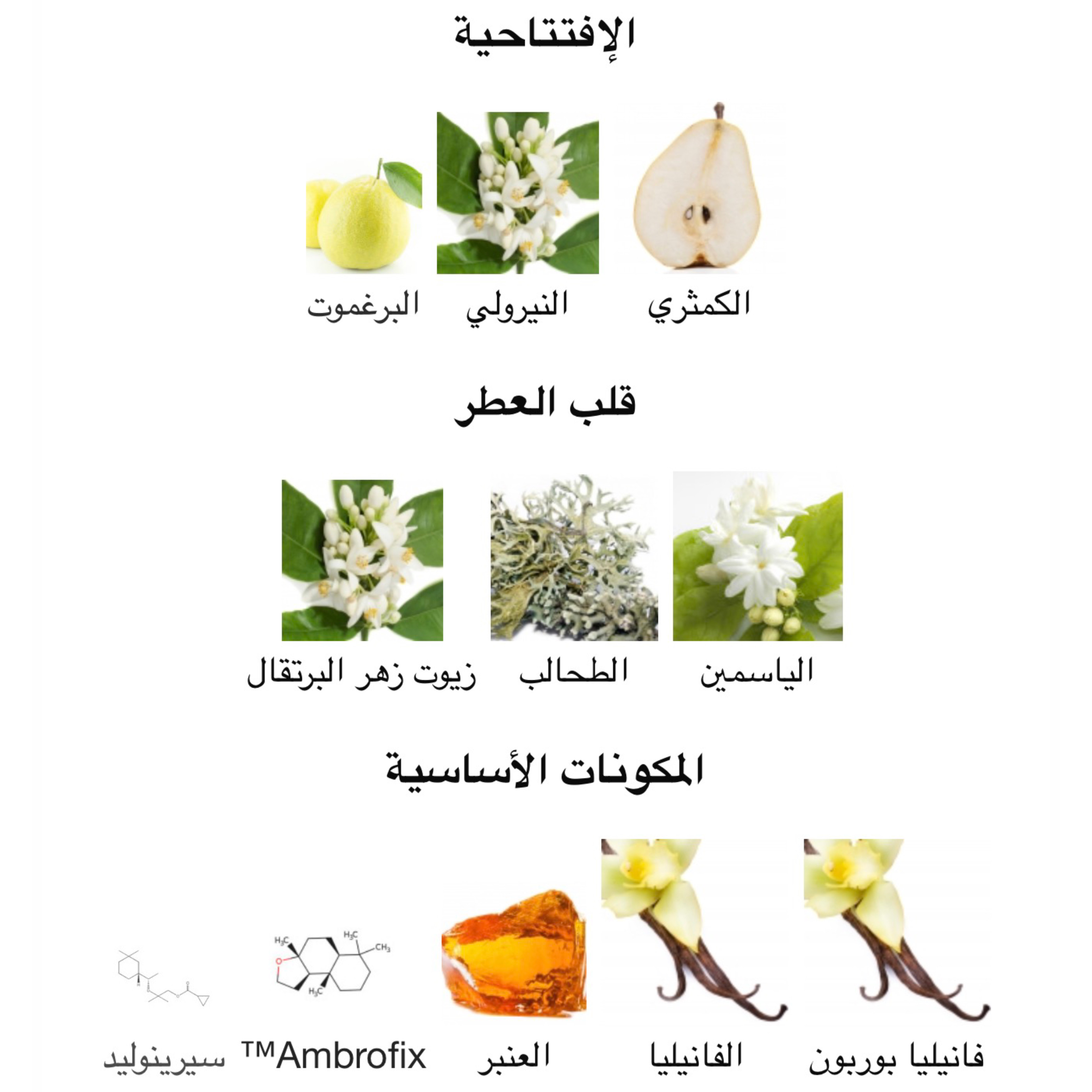 صورة مصغرة