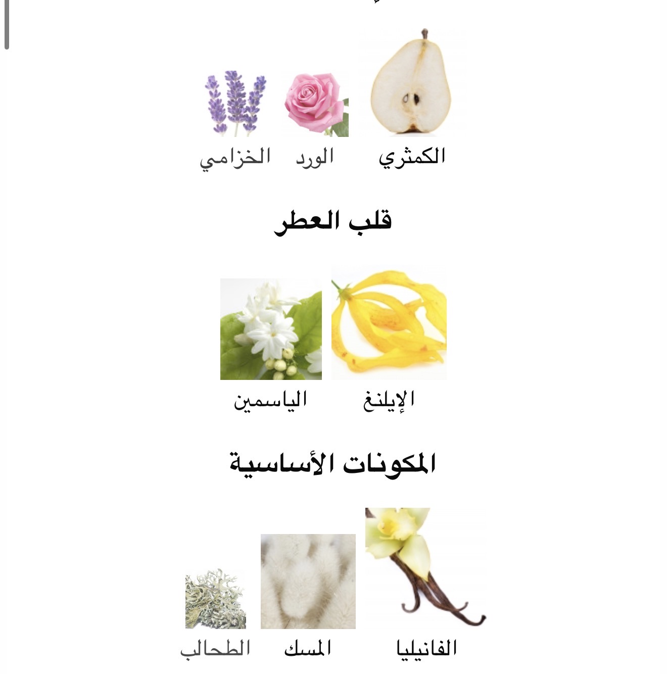 صورة مصغرة