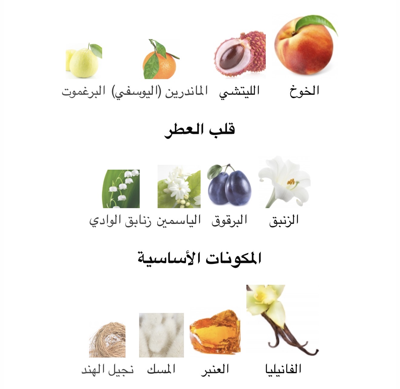 صورة مصغرة