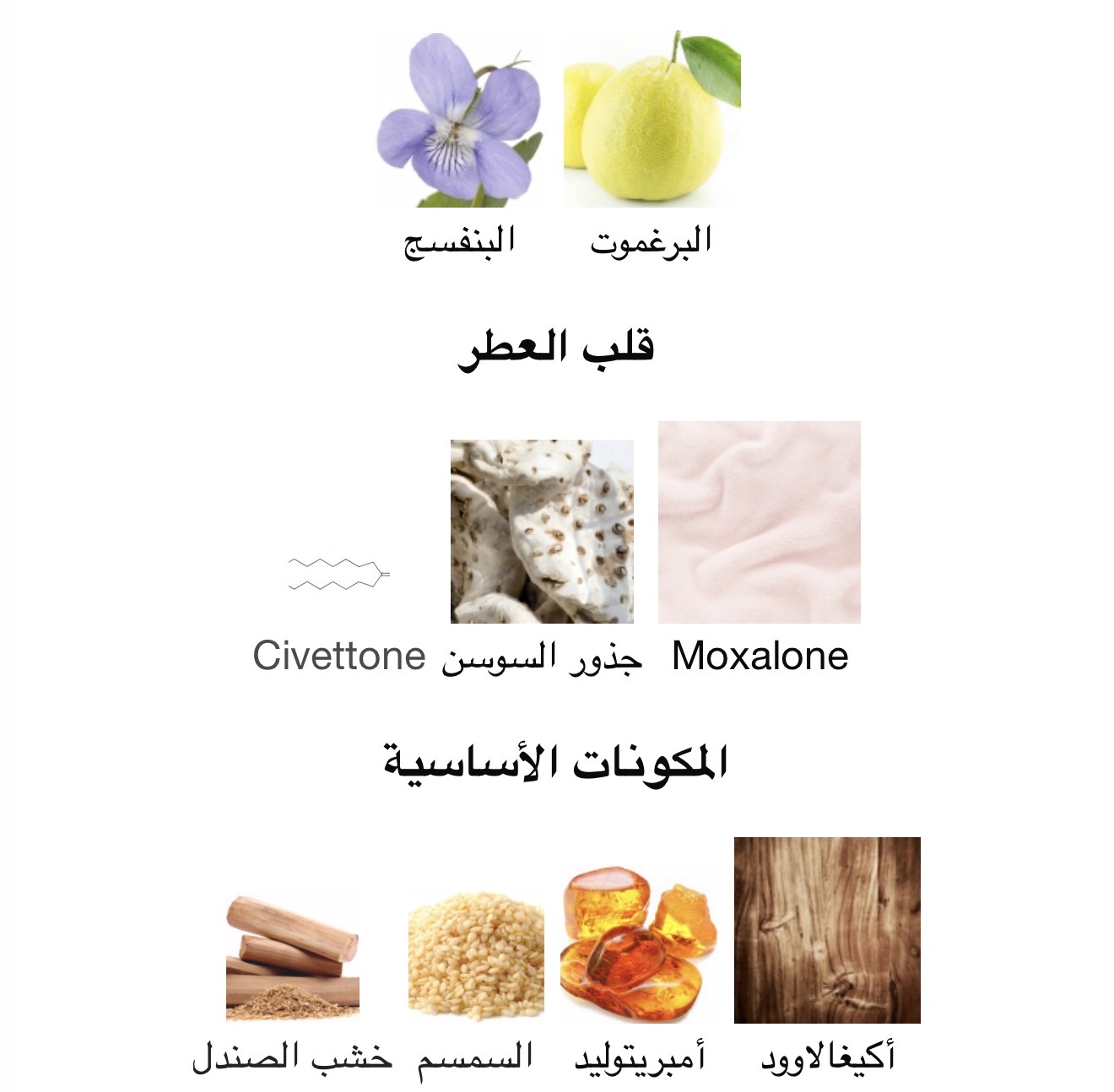 صورة مصغرة